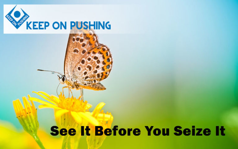 See-It-Before-You-Seize-It