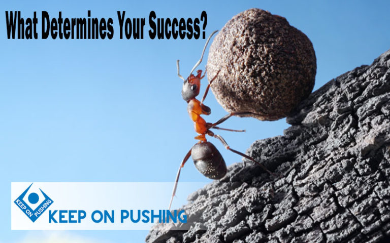What-Determines-Your-Success